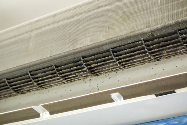 Best HVAC System Cleaning  in South Wilton, CT